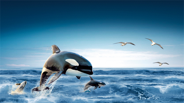 预制市政构件(新泽西护栏)生产线 预制市政构件(新泽西护栏)生产线